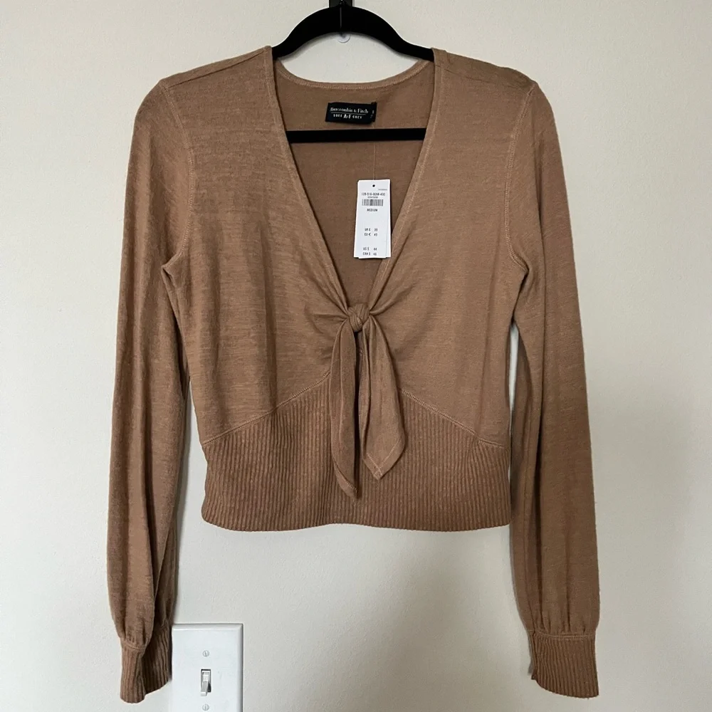 NWT Medium Abercrombie & Fitch Brown V-Neck Sweater - Picture 2 of 4